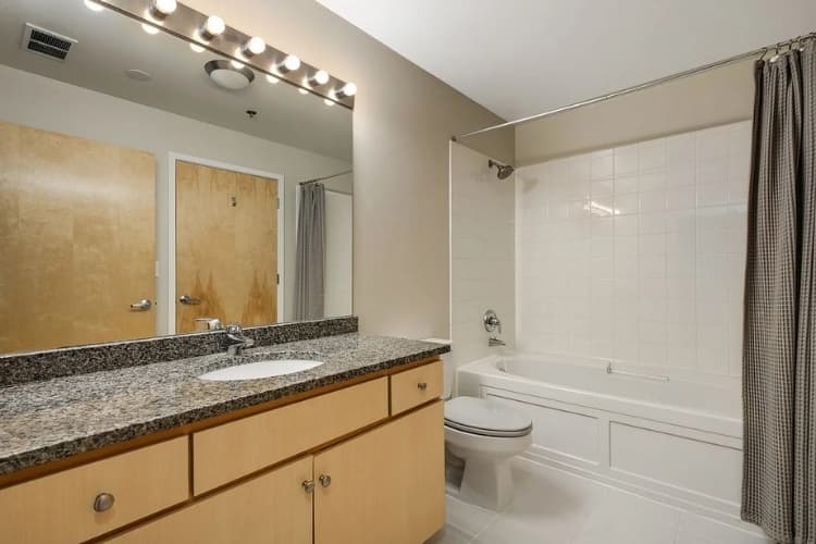Modern Chicago II — 630 N Franklin 9